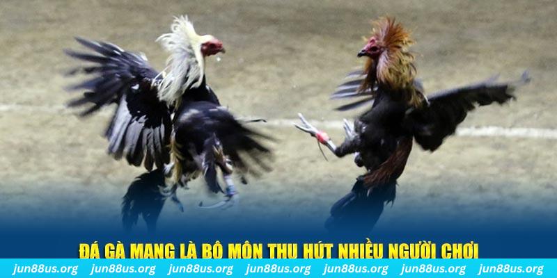 fb88 casino Đăng ký
