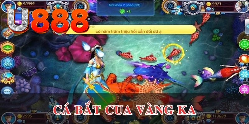 8day casino kèo nhà cái