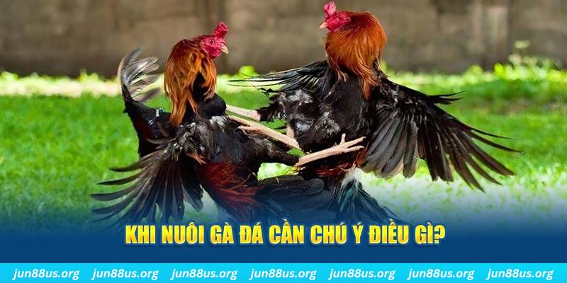 neu88 casino SÒNG BẠC