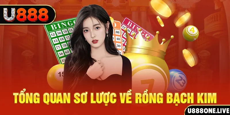 net88 sòng bạc ĐĂNG NHẬP